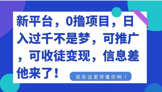 不要再花冤枉钱了，0撸项目，每天坚持，稳定1000+-网创星球
