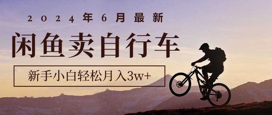 2024年6月最新闲鱼卖自行车，新手小白轻松月入3w+项目-网创星球
