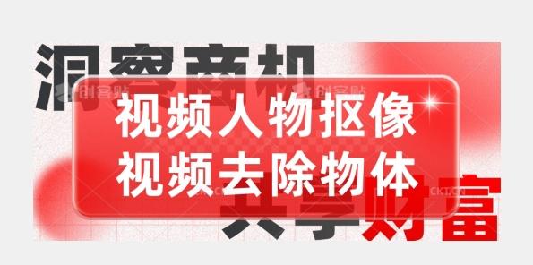 【超强视频处理工具】视频人物抠像+视频去除物体-网创星球