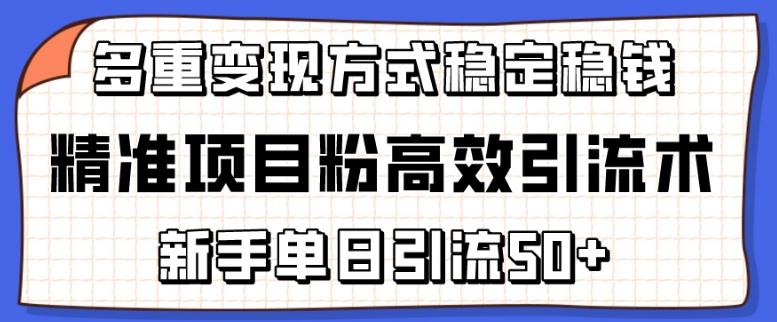 精准项目粉高效引流术，新手单日引流50+，多重变现方式稳定赚钱【揭秘】-网创星球