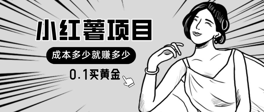 小红薯暴力项目，0.1买黄金。操作简单，日入无上限，可无限扩大。-网创星球
