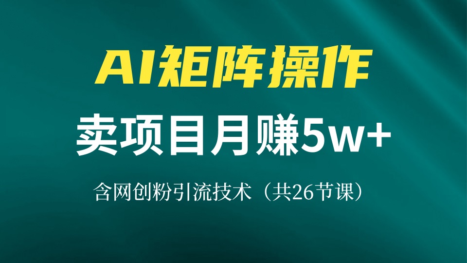 网创IP打造课，借助AI卖项目月赚5万+，含引流技术(共26节课-网创星球