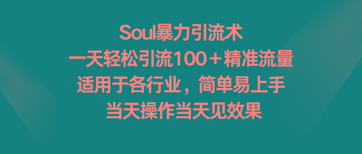Soul暴力引流术，一天轻松引流100＋精准流量，适用于各行业，简单易上手！-网创星球