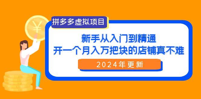 (9744期)拼多多虚拟项目：入门到精通，开一个月入万把块的店铺 真不难(24年更新)-网创星球