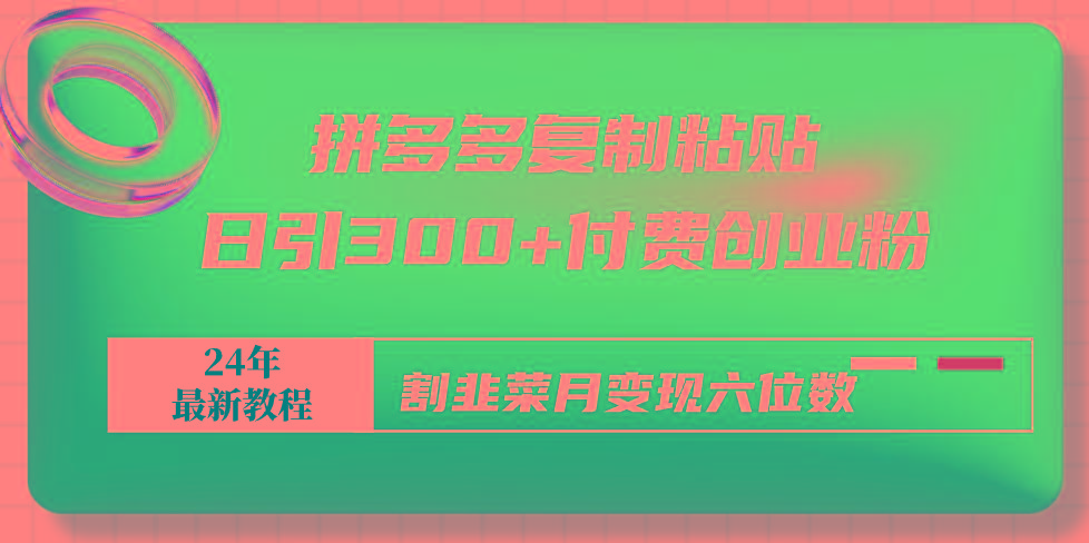 拼多多复制粘贴日引300+付费创业粉，割韭菜月变现六位数最新教程！-网创星球