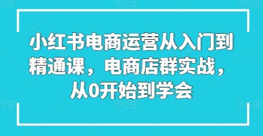 小红书电商运营从入门到精通课，电商店群实战，从0开始到学会-网创星球