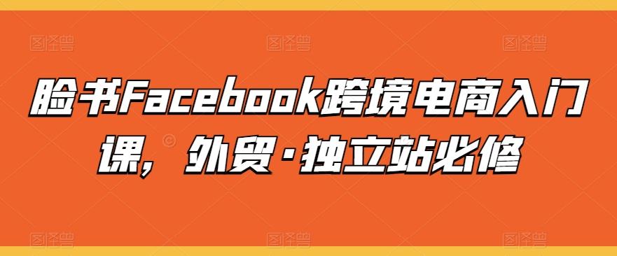 脸书Facebook跨境电商入门课，外贸·独立站必修-网创星球