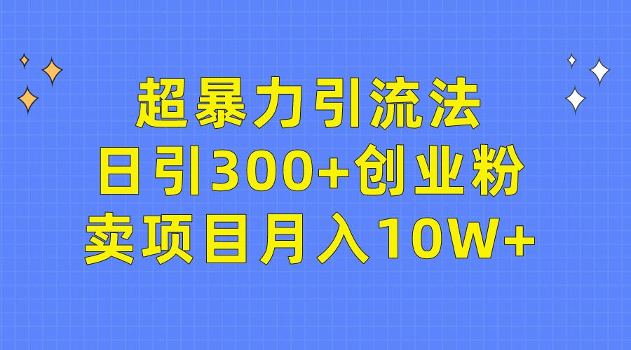 (9954期)超暴力引流法，日引300+创业粉，卖项目月入10W+-网创星球