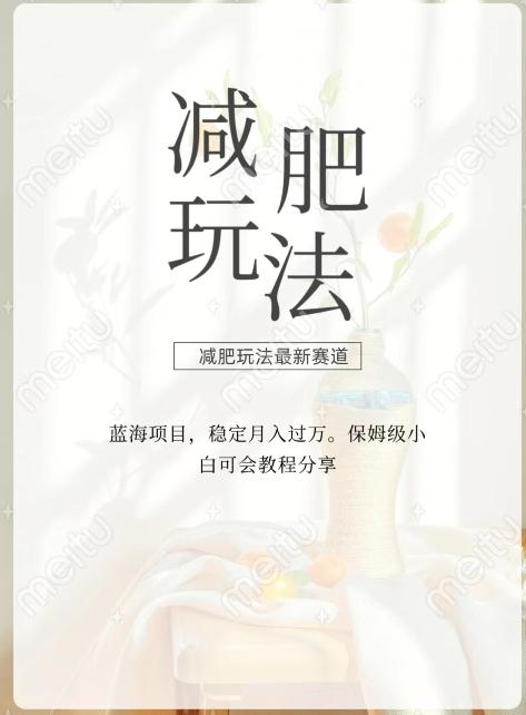 减肥流量主新玩法，轻松月入1W，可矩阵操作收入翻倍-网创星球