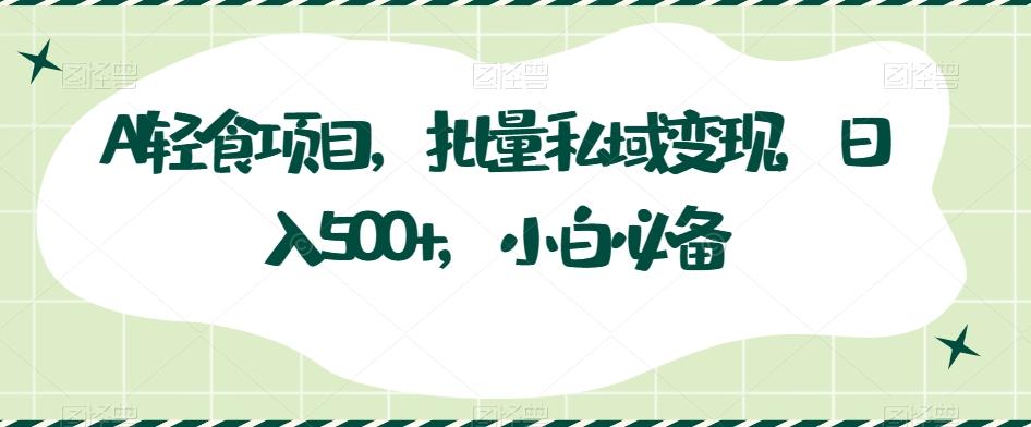 AI轻食项目，批量私域变现，日入500+，小白必备-网创星球