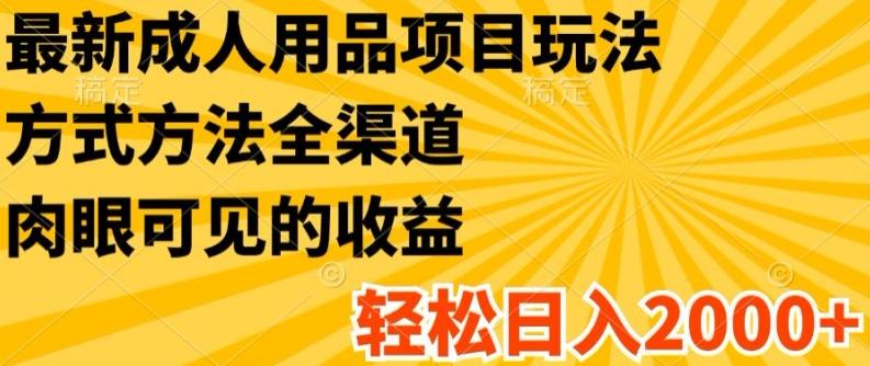 最新成人用品项目玩法，方式方法全渠道，轻松日入2K+【揭秘】-网创星球