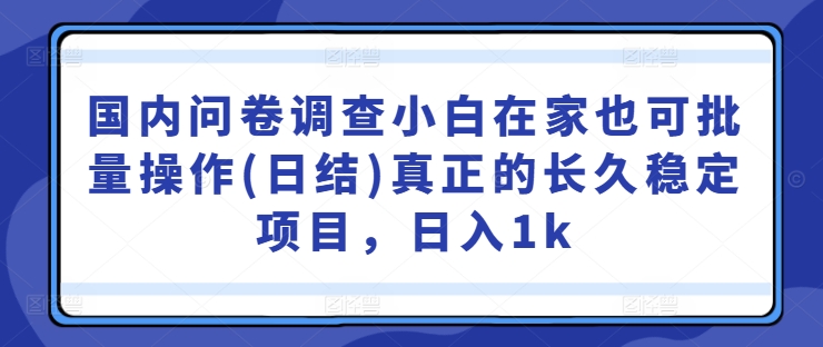 国内问卷调查小白在家也可批量操作(日结)真正的长久稳定项目，日入1k【揭秘】-网创星球
