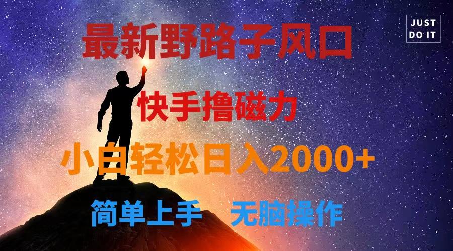 最新风口！快手撸磁力，野路子，小白无脑操作日入2000+-网创星球