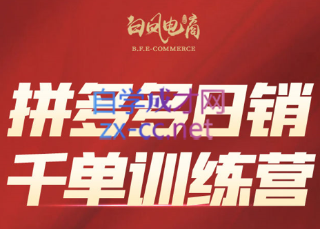 白凤电商学院·拼多多日销千单训练营(更新7月)-网创星球