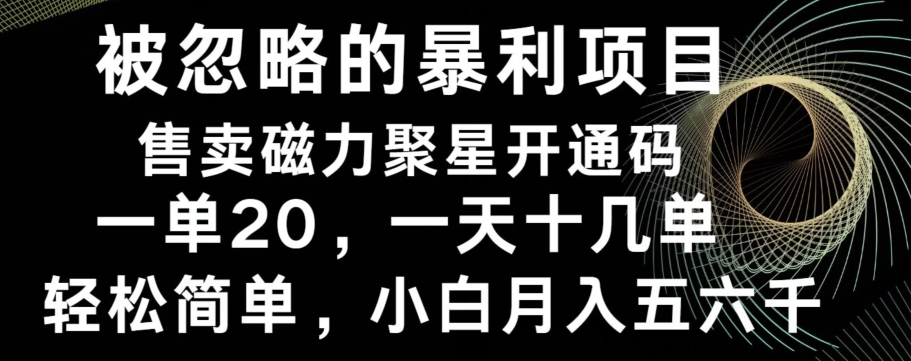 被忽略的暴利项目！售卖磁力聚星开通码，一单20，一天十几单，轻松月入五六千-网创星球
