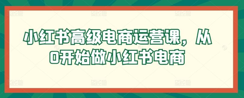 小红书高级电商运营课，从0开始做小红书电商-网创星球