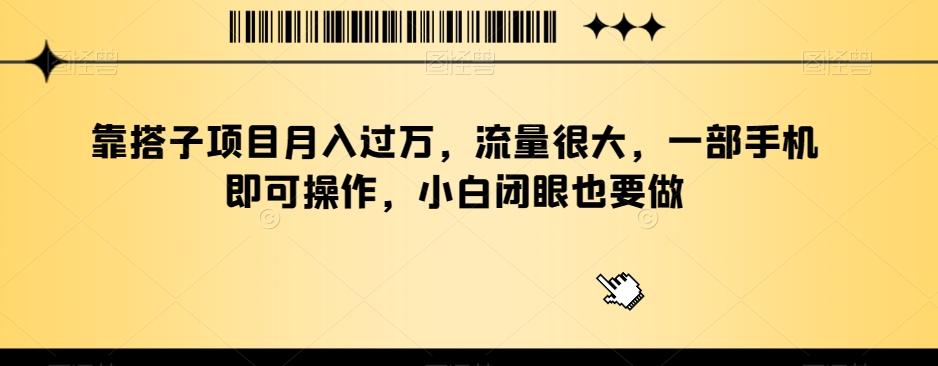 靠搭子项目月入过万，流量很大，一部手机即可操作，小白闭眼也要做-网创星球