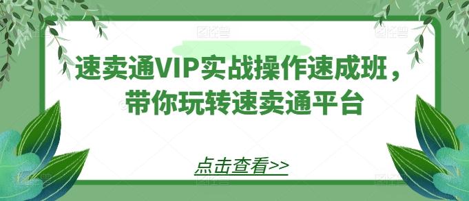 速卖通VIP实战操作速成班，带你玩转速卖通平台-网创星球