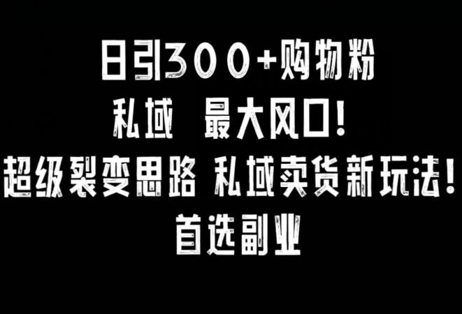 日引300+购物粉，超级裂变思路，私域卖货新玩法，小红书首选副业【揭秘】-网创星球
