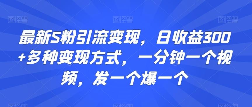 最新S粉引流变现，日收益300+多种变现方式，一分钟一个视频，发一个爆一个【揭秘】-网创星球