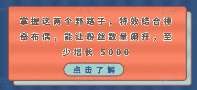 掌握这两个野路子，特效结合神奇布偶，能让粉丝数量飙升，至少增长 5000【揭秘】-网创星球
