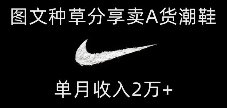 靠图文种草分享卖A货潮鞋，每天一小时，单月收入2万+【揭秘】-网创星球