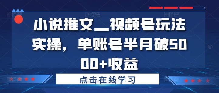 小说推文—视频号玩法实操，单账号半月破5000+收益-网创星球