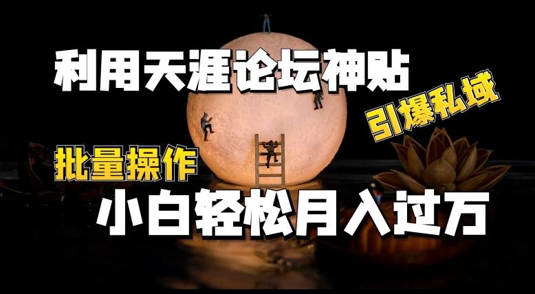 利用天涯论坛神贴，引爆私域，批量操作，小白轻松月入过w【揭秘】-网创星球