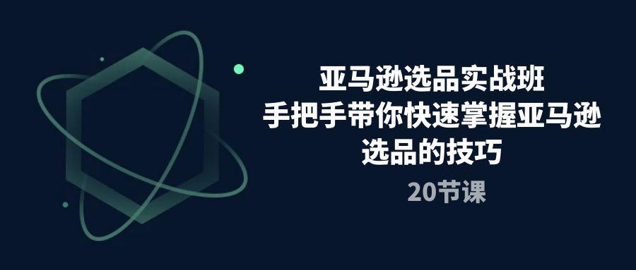 亚马逊选品实战班，手把手带你快速掌握亚马逊选品的技巧(20节课-网创星球