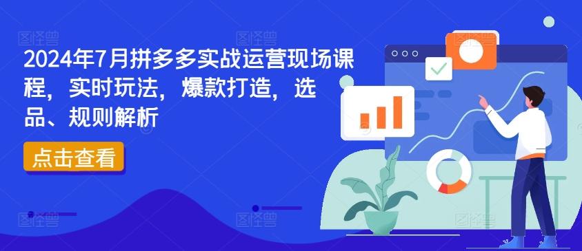 2024年7月拼多多实战运营现场课程，实时玩法，爆款打造，选品、规则解析-网创星球