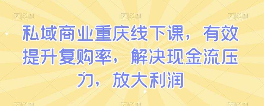 私域商业重庆线下课，有效提升复购率，解决现金流压力，放大利润-网创星球