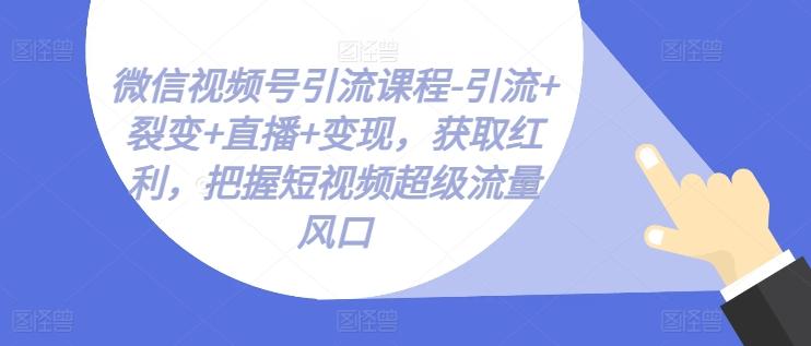 微信视频号引流课程-引流+裂变+直播+变现，获取红利，把握短视频超级流量风口-网创星球