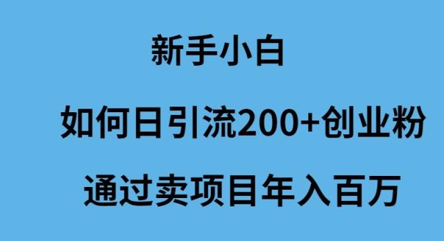 (9668期)新手小白如何日引流200+创业粉通过卖项目年入百万-网创星球