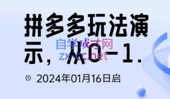 吴老师·拼多多从选品到截流到付费的玩法技巧-网创星球