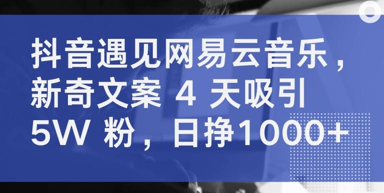 抖音遇见网易云音乐，新奇文案 4 天吸引 5W 粉，日挣1000+【揭秘】-网创星球