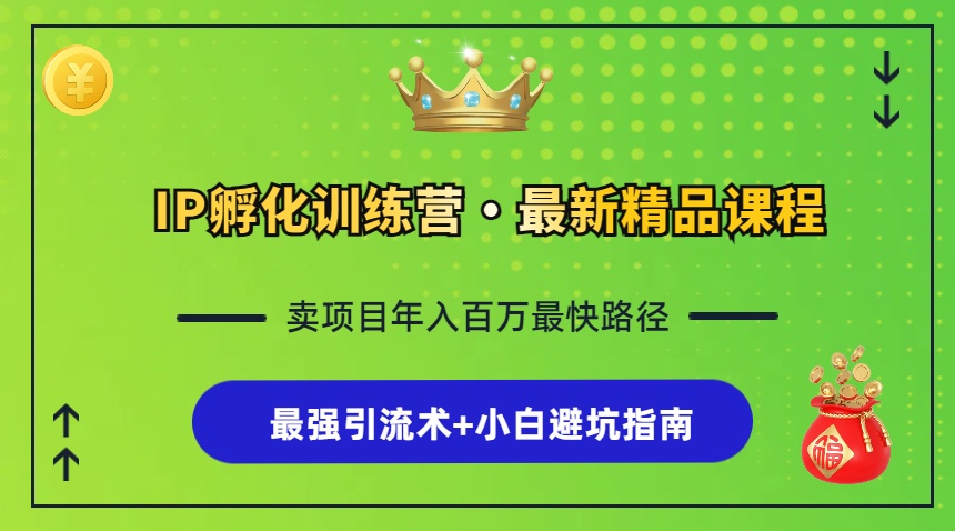 IP孵化训练营，知识付费全流程+最强引流术+小白避坑指南-网创星球
