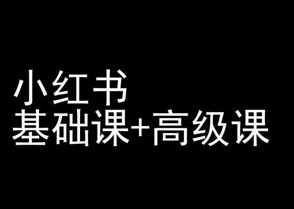 小红书基础课+高级课-小红书运营教程-网创星球