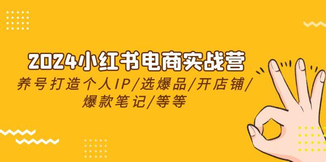 2024小红书电商实战营，养号打造IP/选爆品/开店铺/爆款笔记/等等(24节)-网创星球