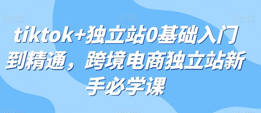 tiktok+独立站0基础入门到精通，跨境电商独立站新手必学课-网创星球