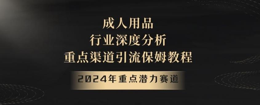 2024年重点潜力赛道，成人用品行业深度分析，重点渠道引流保姆教程【揭秘】-网创星球