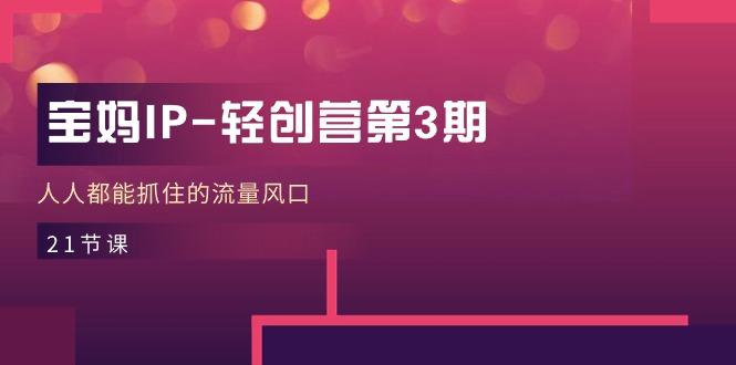 宝妈IP-轻创营第3期，人人都能抓住的流量风口(21节课-网创星球