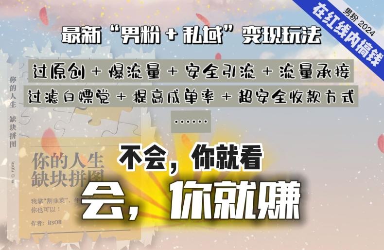 2024，“男粉+私域”还是最耐造、最赚、最轻松、最愉快的变现方式【揭秘】-网创星球