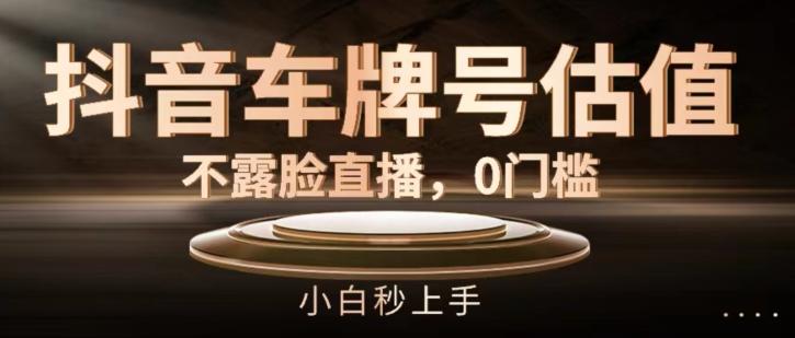 抖音车牌号估值，不露脸直播，0门槛，小白秒上手【揭秘】-网创星球