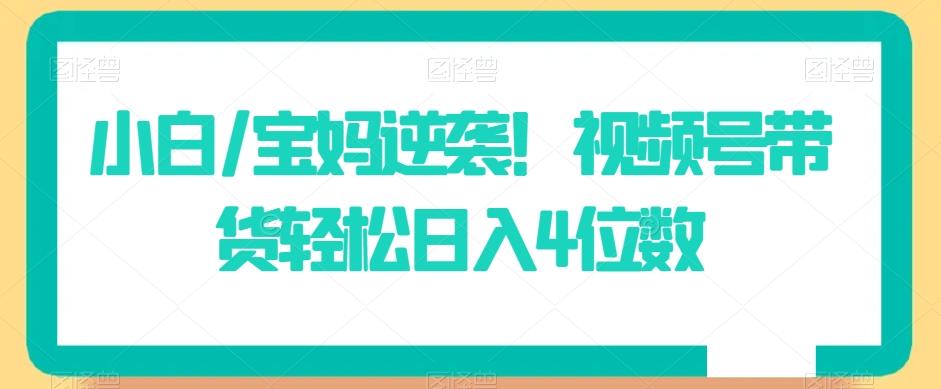 小白/宝妈逆袭！视频号带货轻松日入4位数【揭秘】-网创星球