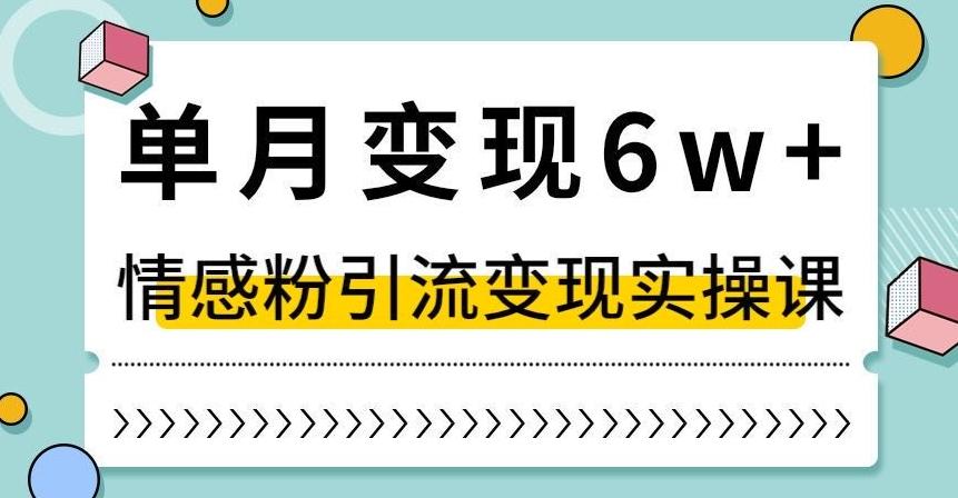 单月变现6W+，抖音情感粉引流变现实操课，小白可做，轻松上手，独家赛道【揭秘】-网创星球