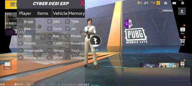 PUBG轻量老外裸奔绘制+自瞄 支持ROOT和框架 里面有全局离线-网创星球