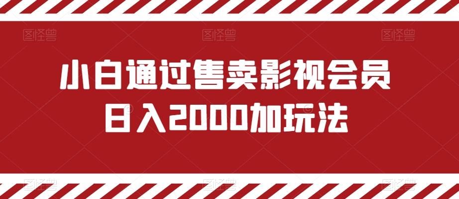 小白通过售卖影视会员日入2000加玩法-网创星球