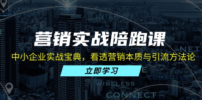 营销实战陪跑课：中小企业实战宝典，看透营销本质与引流方法论-网创星球