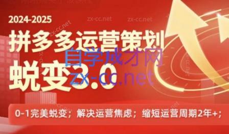 大力老师·2024拼多多运营策略蜕变3.0-网创星球