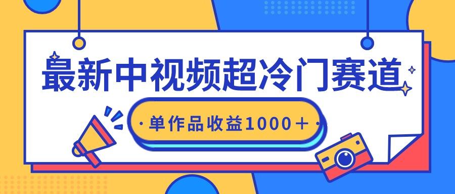 (9275期)最新中视频超冷门赛道，轻松过原创，单条视频收益1000＋-网创星球